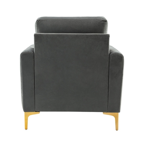 Ganymedes Contemporary Velvet Accent Arm Chair with Golden Legs Set Of 2 by HULALA HOME