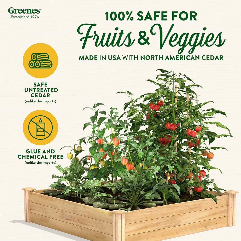 Greenes Fence 4 ft. x 4 ft. x 10.5 in. Original Cedar Raised Garden Bed RC4T12B