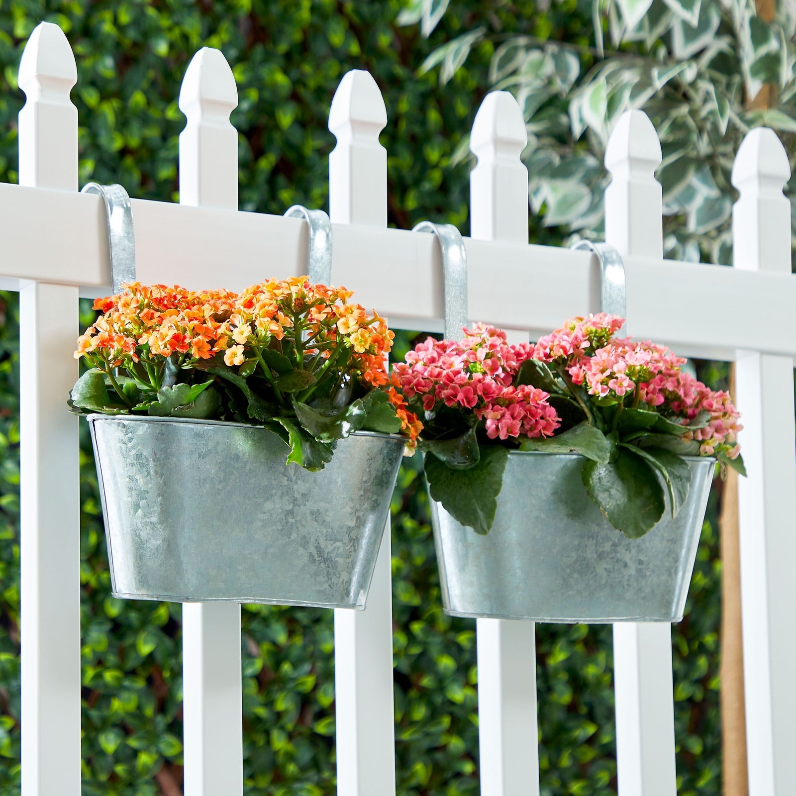 2 Pack Large Galvanized Metal Hanging Bucket Planter Flower Pots for Railing, Fence, Balcony, Wall Decor, and Garden, Indoors and Outdoors, 5 x 4.5 x 10 in