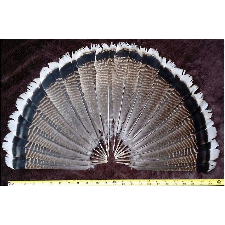 Wholesale 100 Pcs 10-12inch 25-30cm Natural Turkey Feather Tail Feather Diy Clothing Decoration Crafts Hats