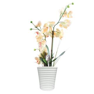 Pride Garden Products 5.1 in. Fremont Small White Jagged Orchid Ceramic Pot (5.1 in. D x 5.4 in. H) 555405