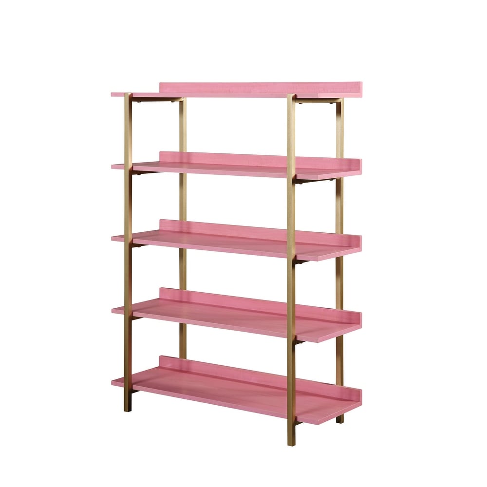 Bizi Contemporary Metal 5 Tier Display Shelf by Furniture of America