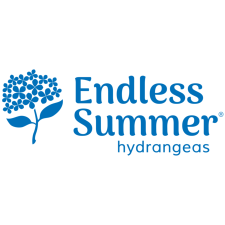 Endless Summer® The Original Reblooming Hydrangea