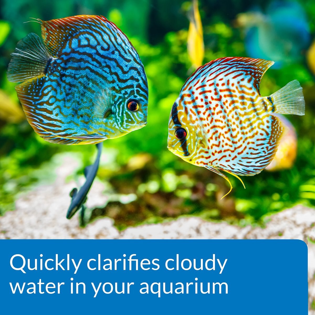 API Accu-Clear Freshwater Aquarium Clarifier