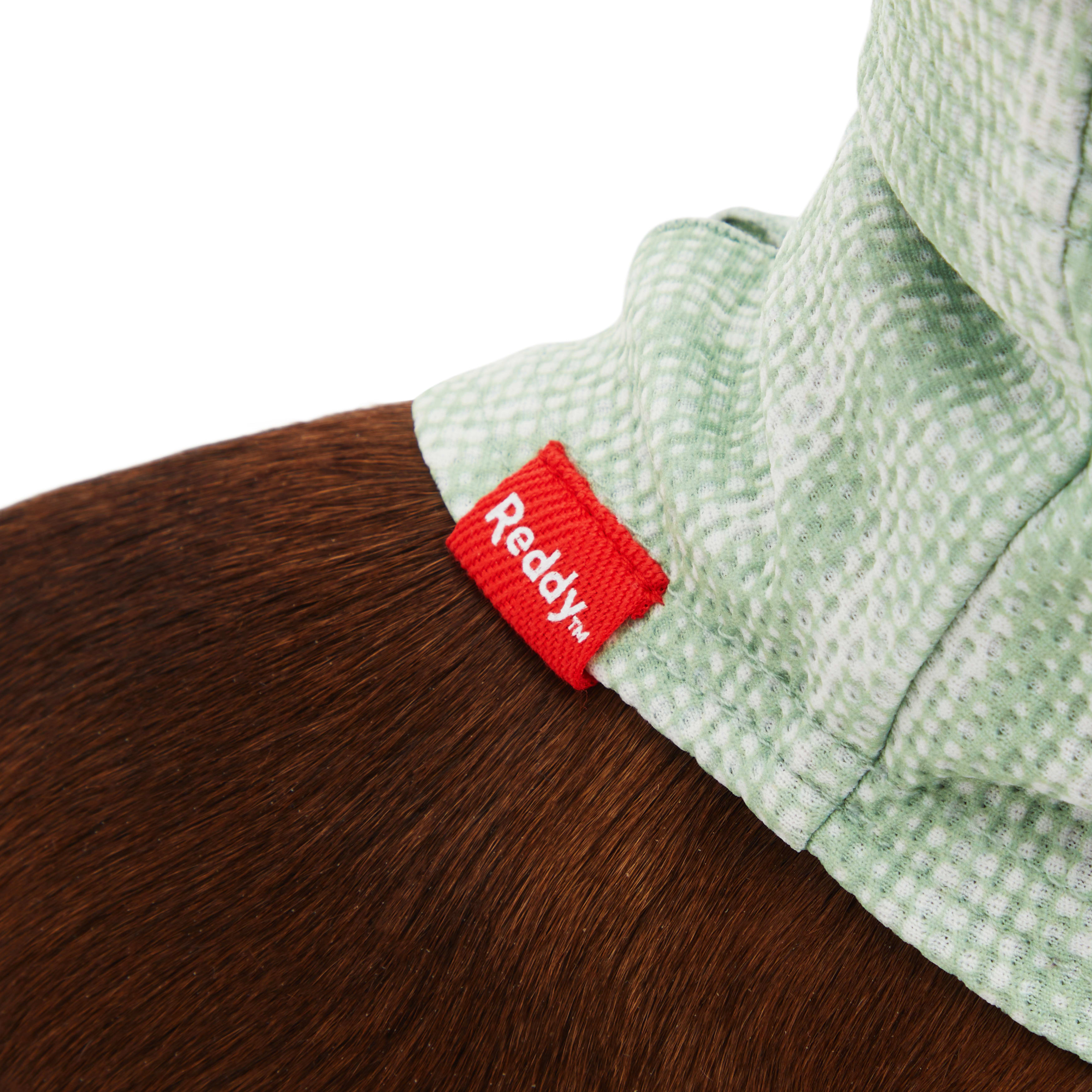 Reddy Green Neck Gaiter for Dogs， X-Small/Small