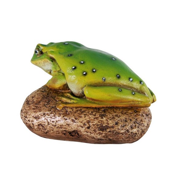 Design Toscano Toad On Rock Statue