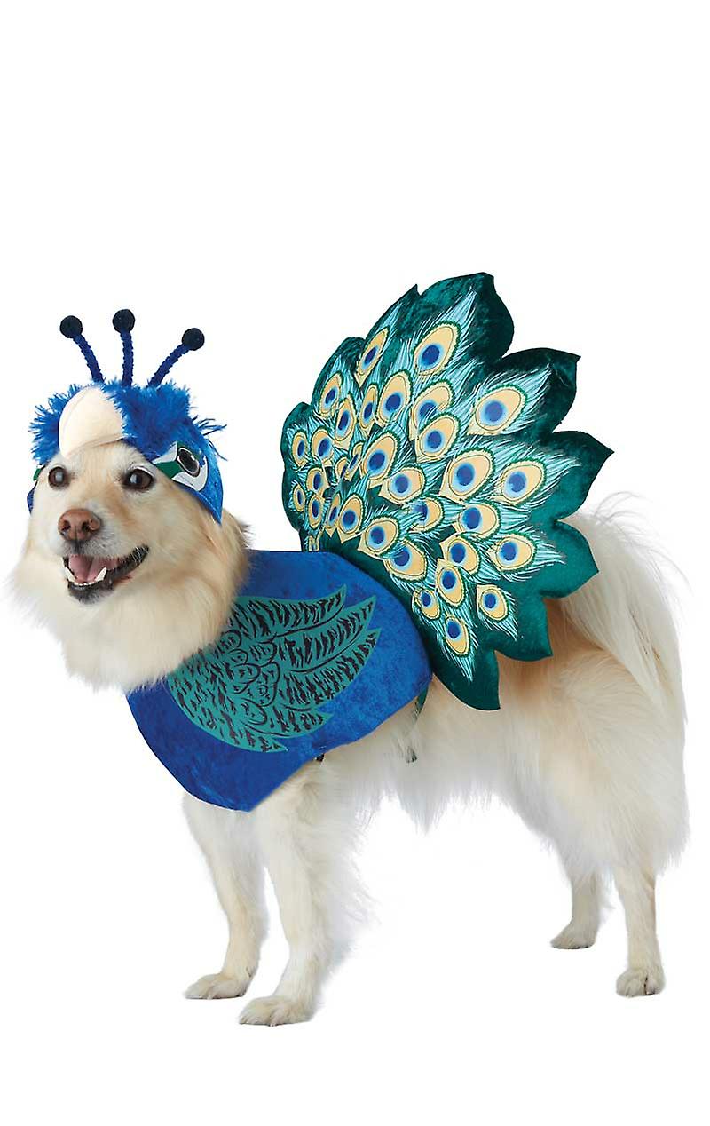 Dog Pretty As A Peacock Animal Fancy Dress Costume