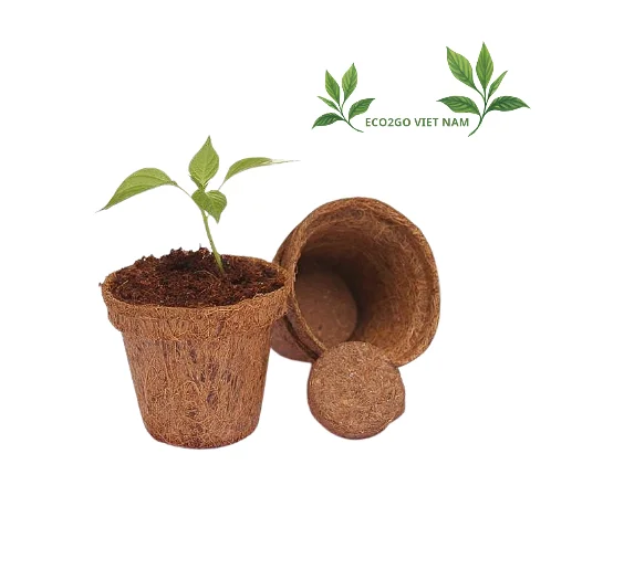 Eco Friendly Coconut Fiber Plant Pot / Coconut Fiber Plant Pot With Free Sample/ Coconut Fiber Flower Pot From Eco2go Vietnam