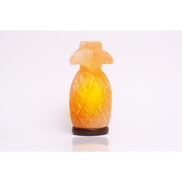 Pineapple Salt Lamp Pink Q amp a Himalayan Salt