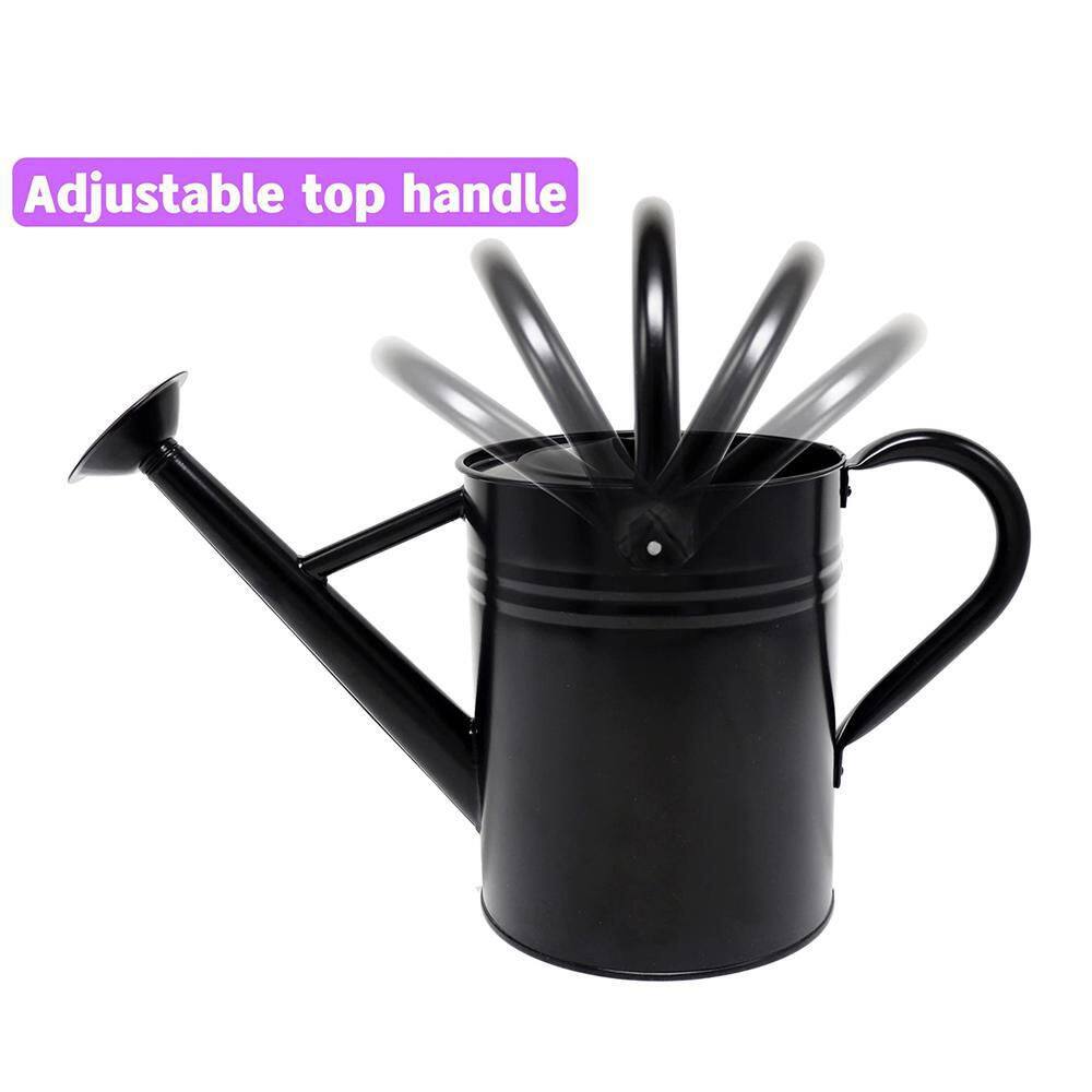 Dyiom 1 Gal. Black Metal Plant Watering Can with Handles Galvanized Steel Watering Pot B09GVGFDKH