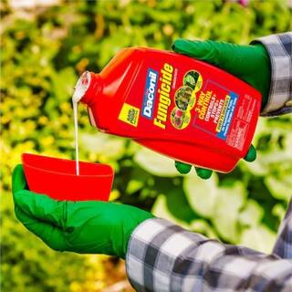 Daconil 16 oz. Concentrate Fungicide 100536524