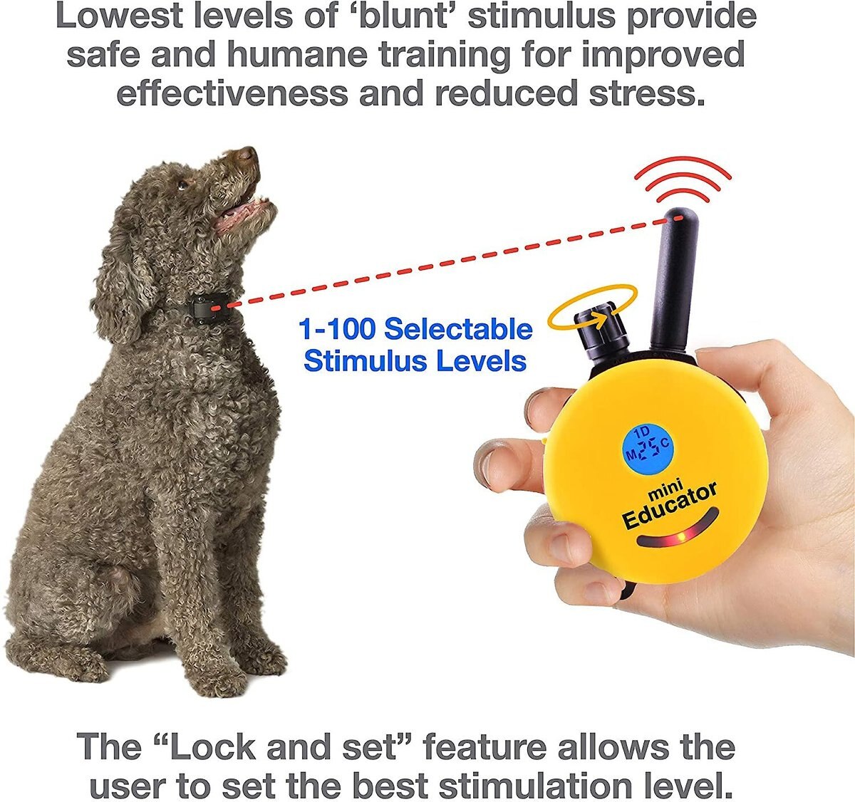 Educator By E-Collar Technologies Mini 1/2 Mile Range Remote Waterproof Dog Training Collar