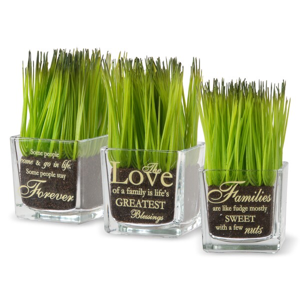 Family' Printed Square Glass Pot with Artificial Grass (Set of 3) by National Tree Company