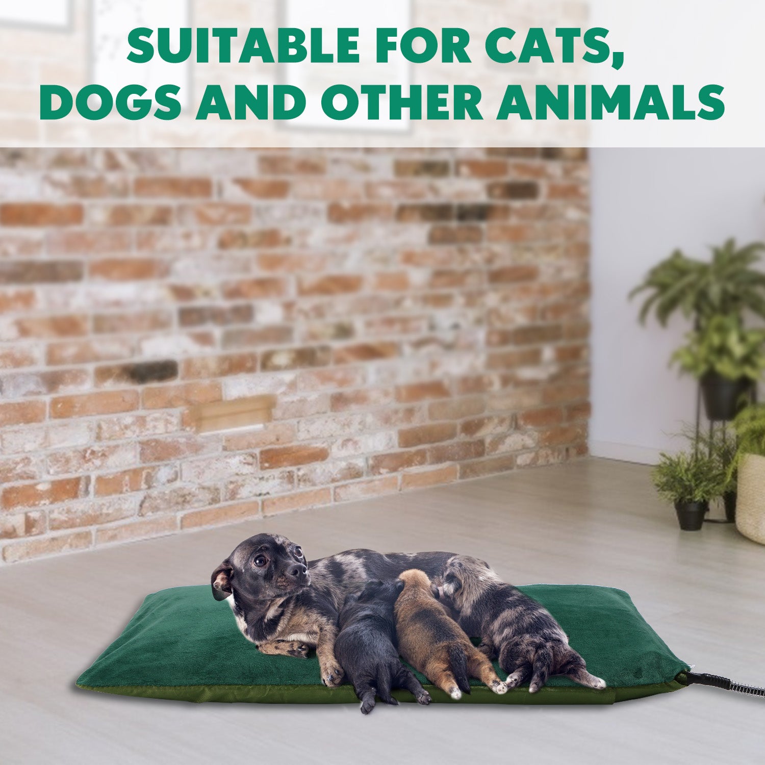 Green Outdoor Pet Heating Pad for Dogs and Cats， 35.4'' x 23.6''