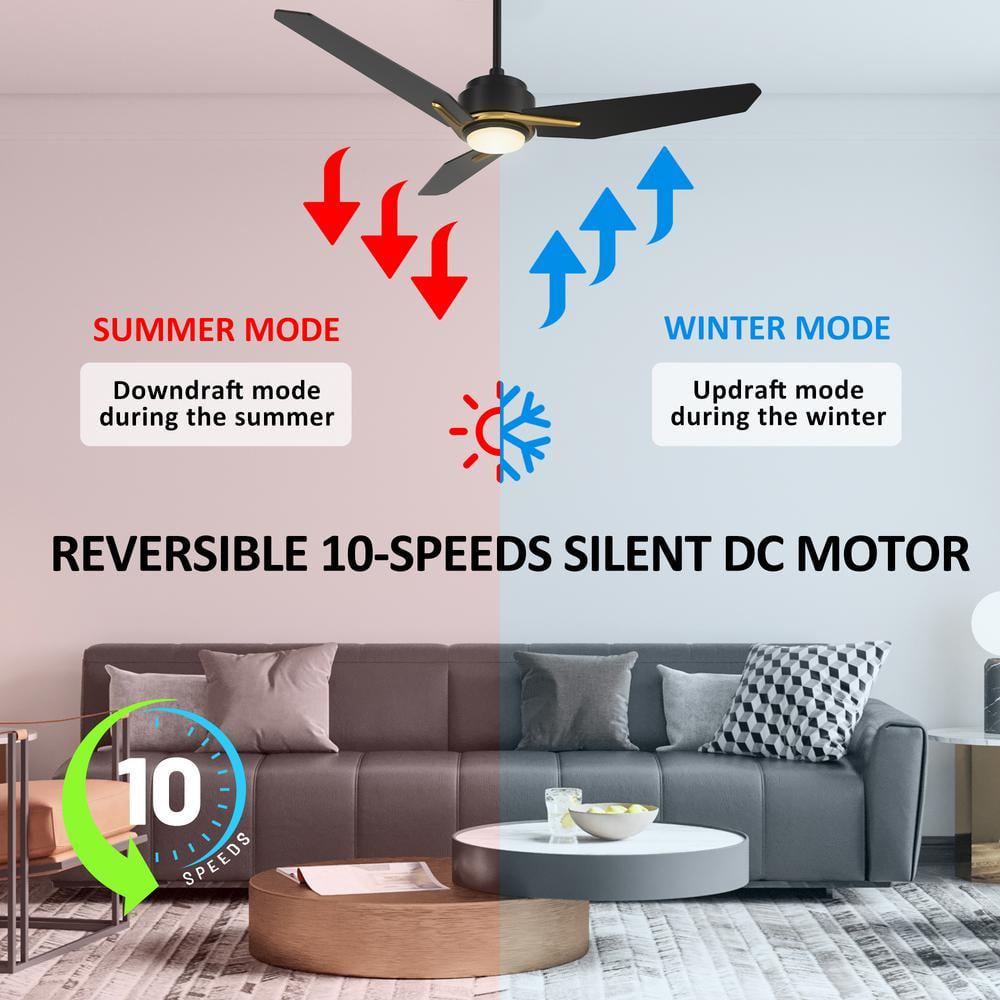 CARRO Tilbury 48 in Integrated LED IndoorOutdoor Black Smart Ceiling Fan with Light and Remote Works with AlexaGoogle Home