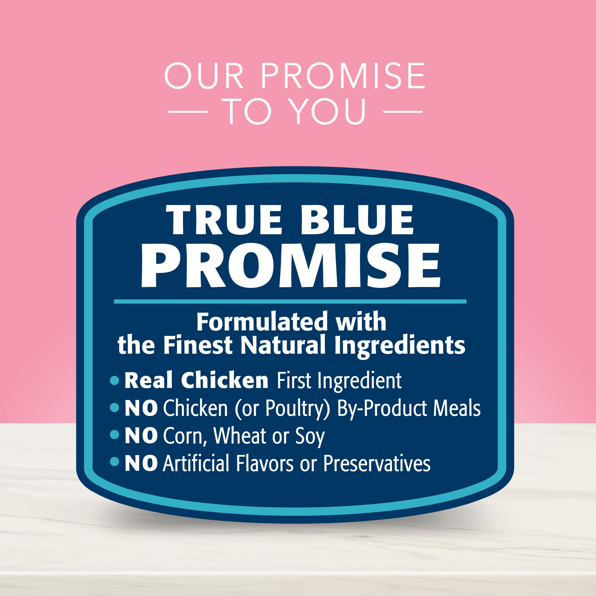 Blue Buffalo True Solutions Blissful Belly Natural Digestive Care Chicken Flavor Adult Wet Dog Food， 12.5 oz.， Case of 12