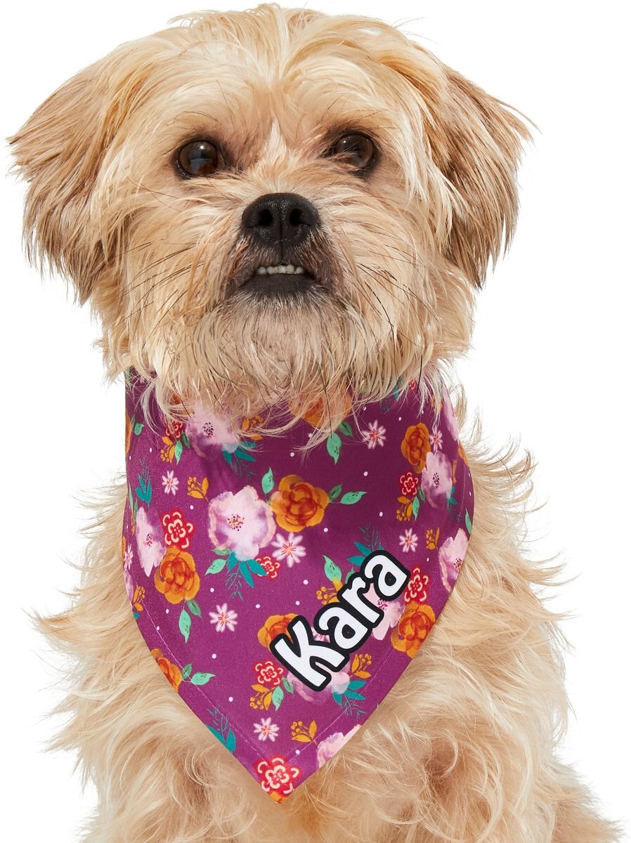 Frisco Fall Floral Personalized Dog and Cat Bandana