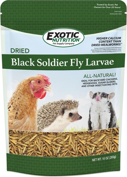 Exotic Nutrition Dried Black Soldier Fly Larvae Small Animal Treats