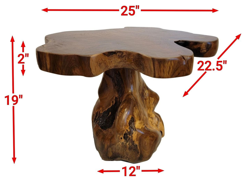 Live Edge Large Wood Accent Table 25 in Free Form Teak Root Natural Tree Trunk   Rustic   Side Tables And End Tables   by My Swanky Home  Houzz