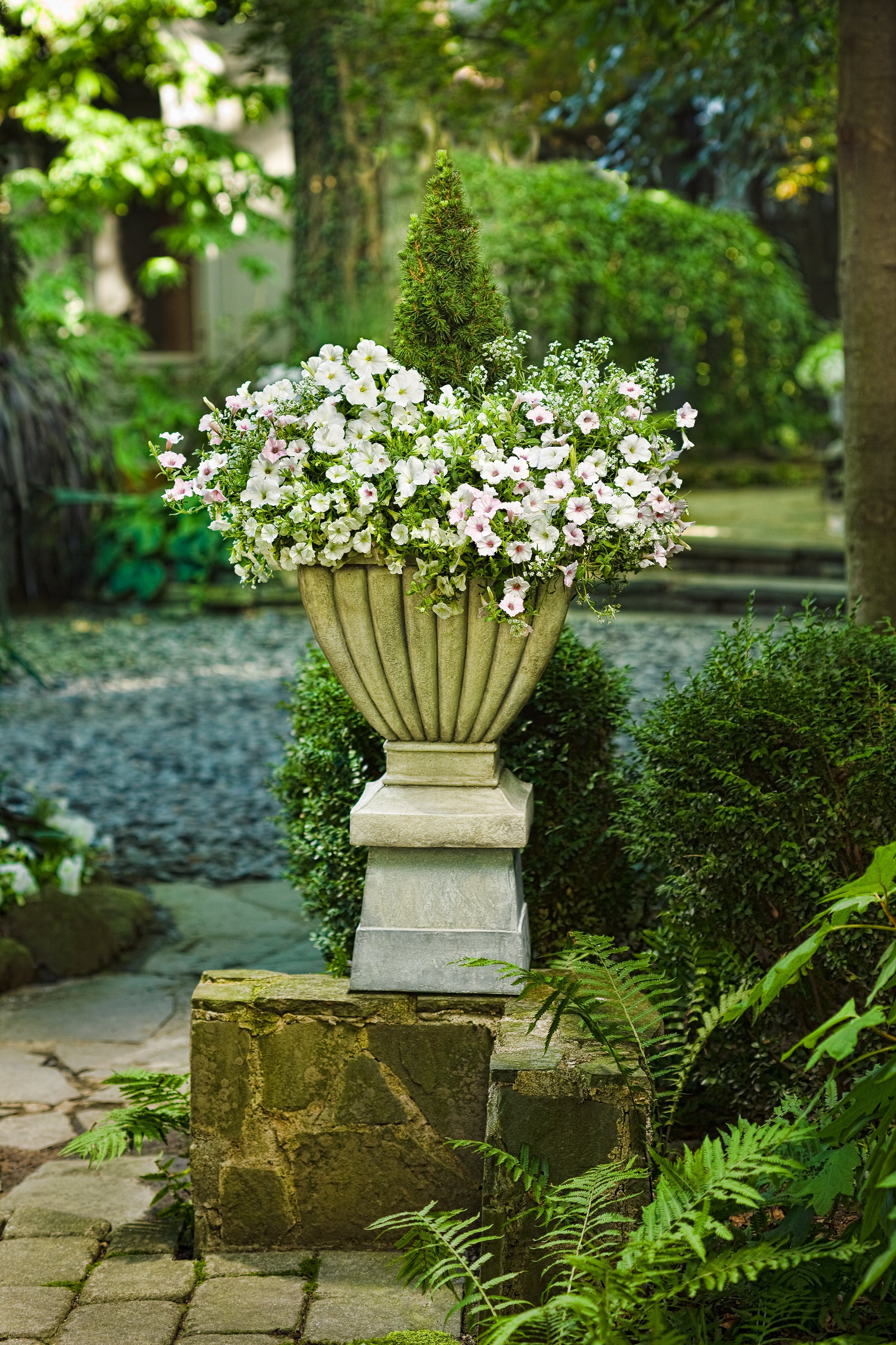 4.25 in. Eco+Grande， Superbells White (Calibrachoa) Live Plants， White Flowers (4-Pack)