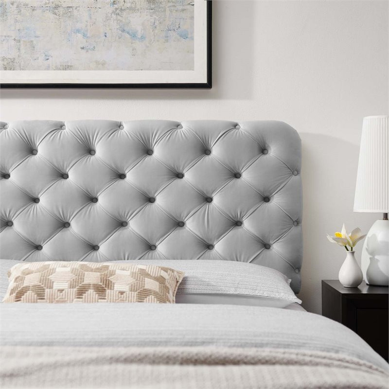 Modway Lizzy Tufted Full/Queen Performance Velvet Headboard in Light Gray   Transitional   Headboards   by Homesquare  Houzz