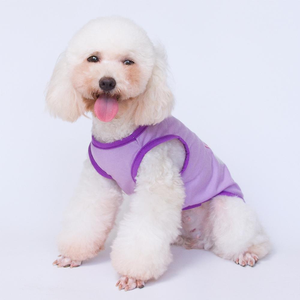 Dog Clothes For Small Medium Dogs Big Sister Cute T Shirt Announcement Costume Girl Puppy Cat-xs