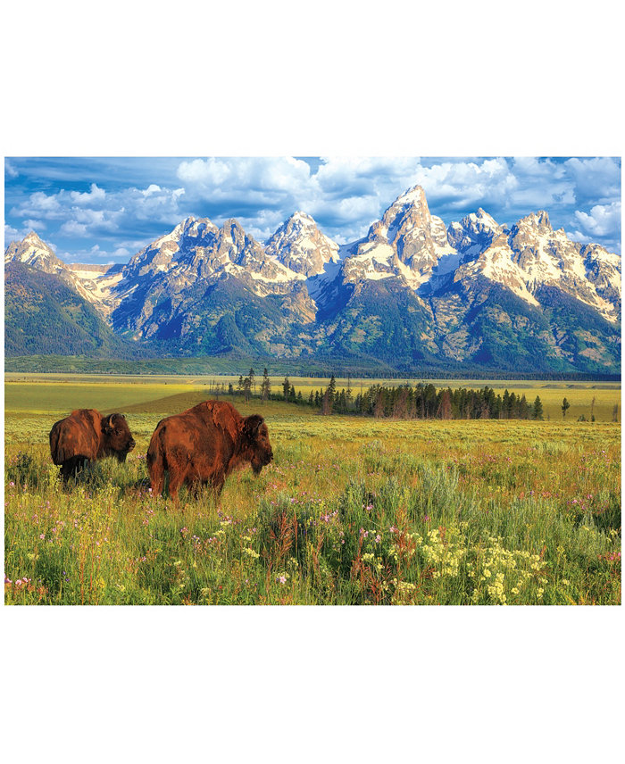 University Games Eurographics Incorporated Steve Hinch Grand Teton National Park  Wyoming  USA Jigsaw Puzzle  1000 Pieces