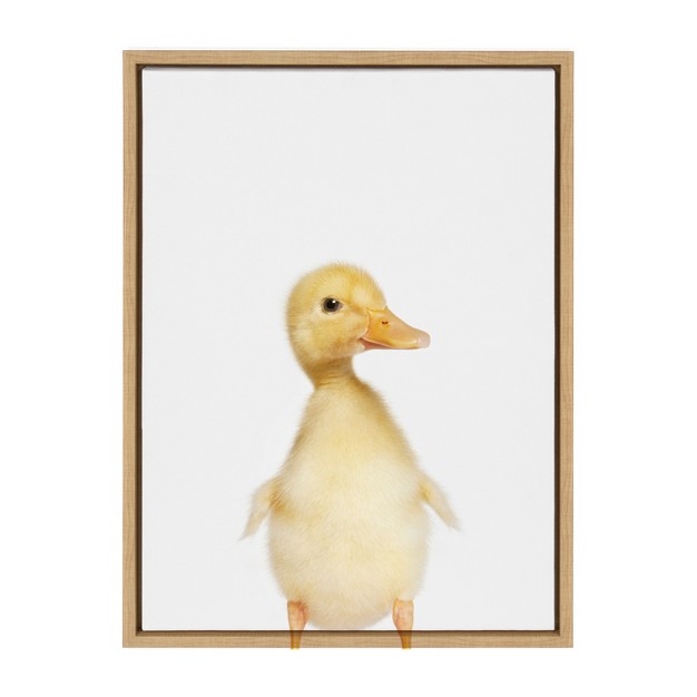 X 24 quot Sylvie Animal Studio Duck Framed Canvas By Amy Peterson Natural Kate amp Laurel All Things Decor