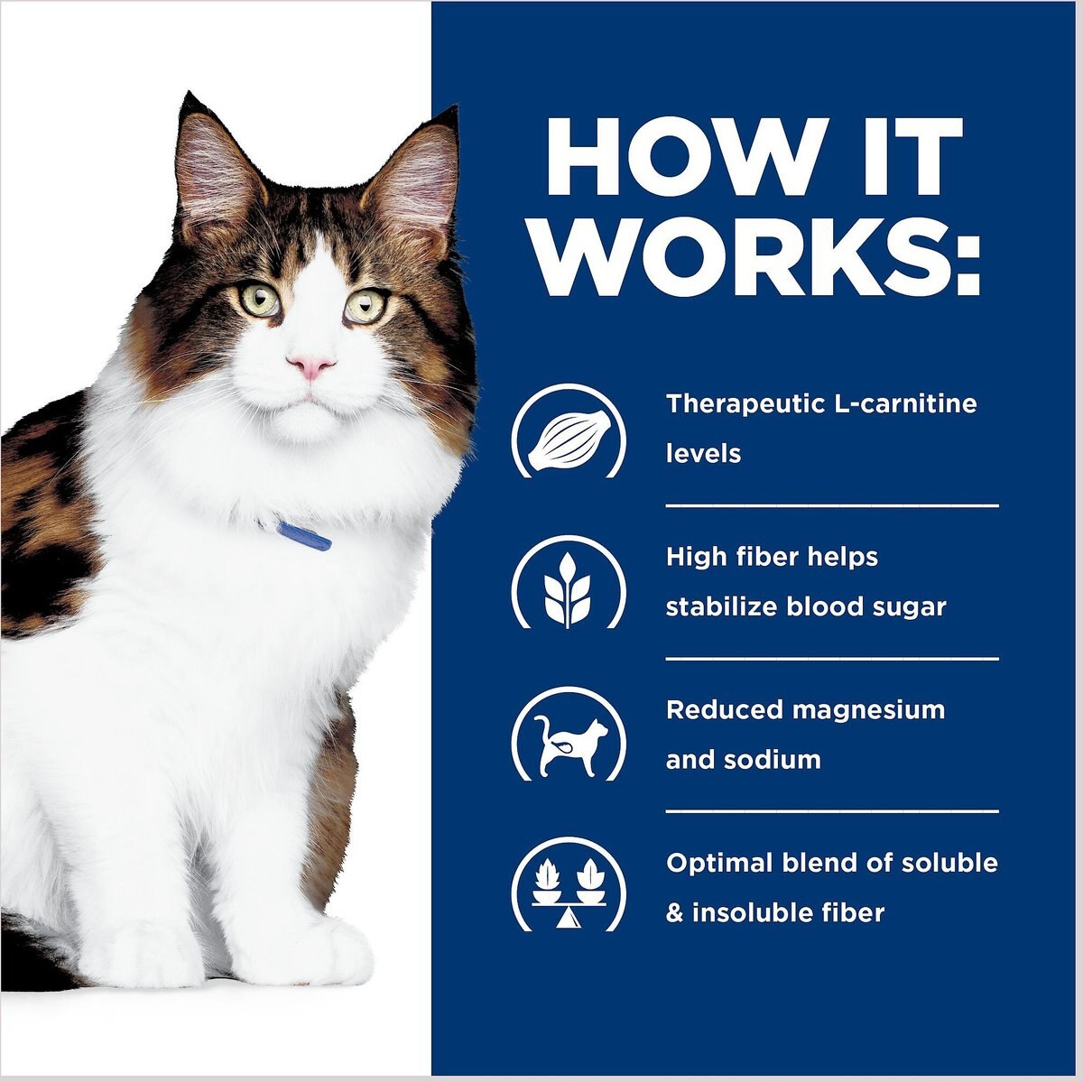 Hill's Prescription Diet w/d Multi-Benefit with Chicken Dry Cat Food