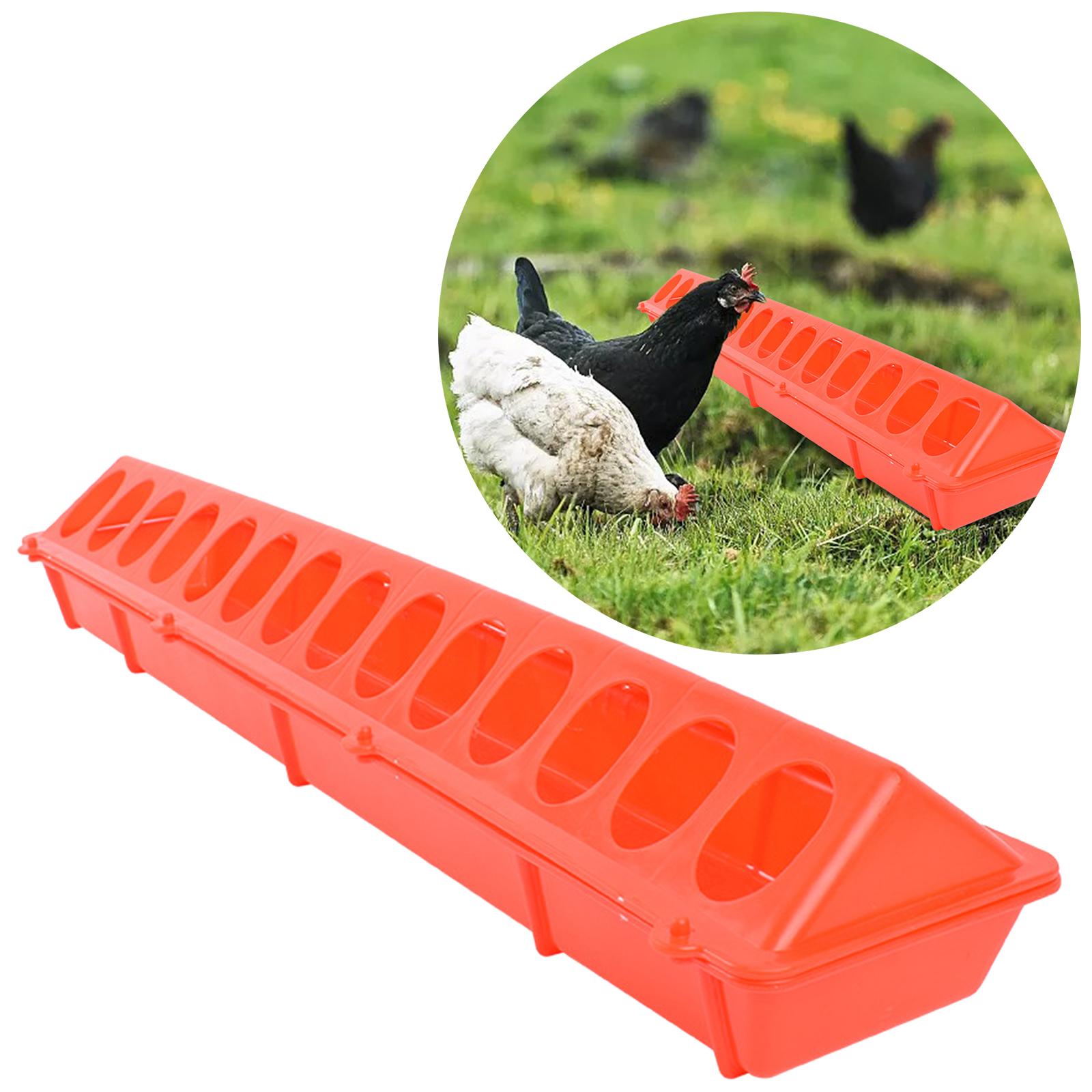 Poultry Feeder Birds feed Long Trough Water Bowl Waterer Farming Tool Box for Farm Livestock Cockatiels