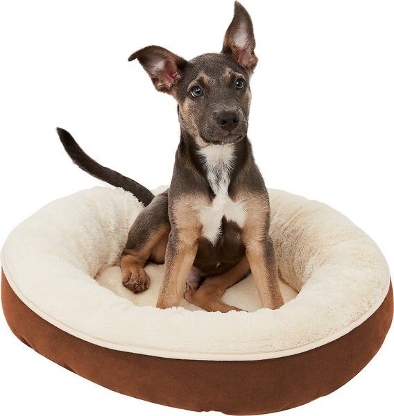 Frisco Round Bolster Cat and Dog Bed