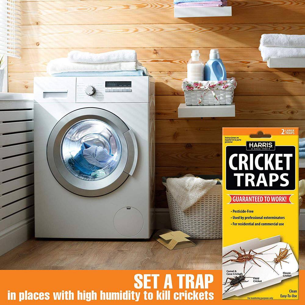 Harris Cricket Trap Value Pack (10-Pack) CTRPVP