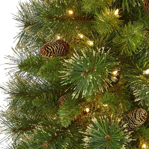 3' Golden Tip Washington Pine Christmas Tree with 50 Clear Lights