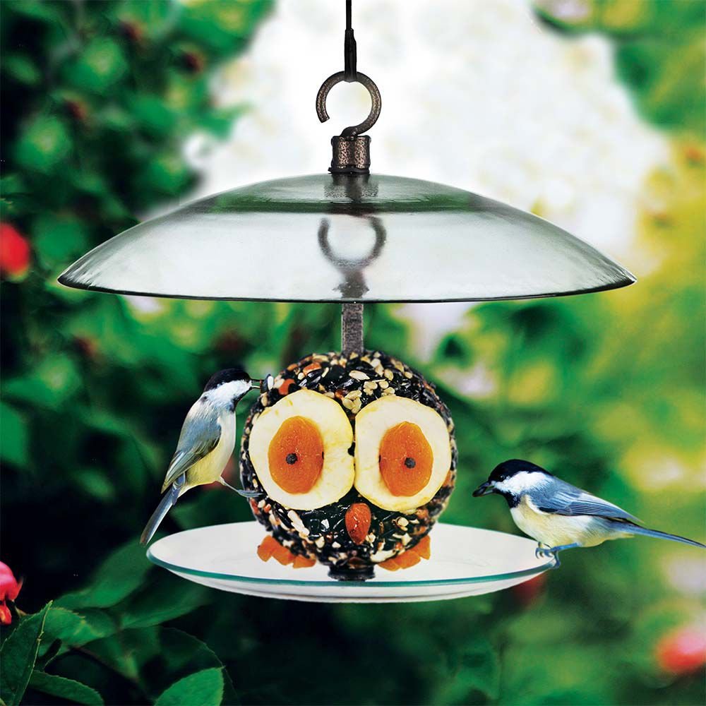 Mosaic Birds 360 Degree Petite Seed Cylinder Bird Feeder， 11-in