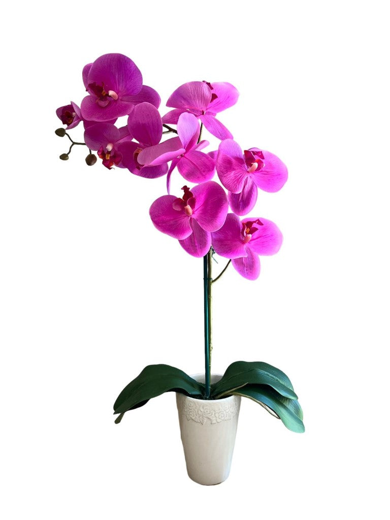 Stunning Artificial Orchids in Conical Pot