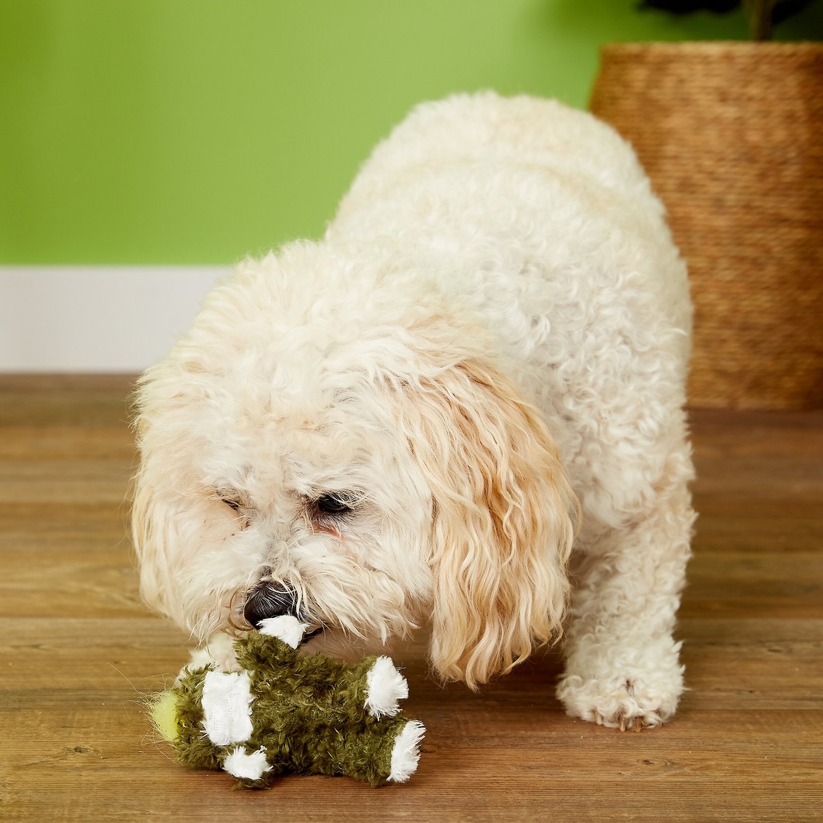 KONG Plush Frog Dog Toy