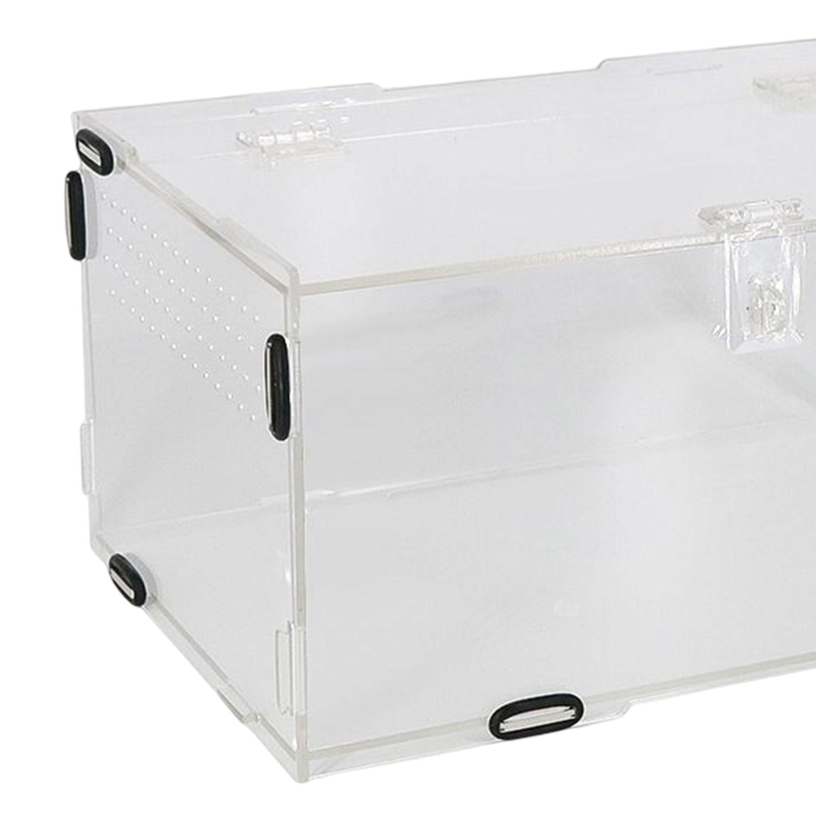 Reptile Breeding Box Carrier Hamster Feeding Cage Habitat Feeding Box Acrylic Transport Reptile Terrarium for Invertebrates Isopods Snake