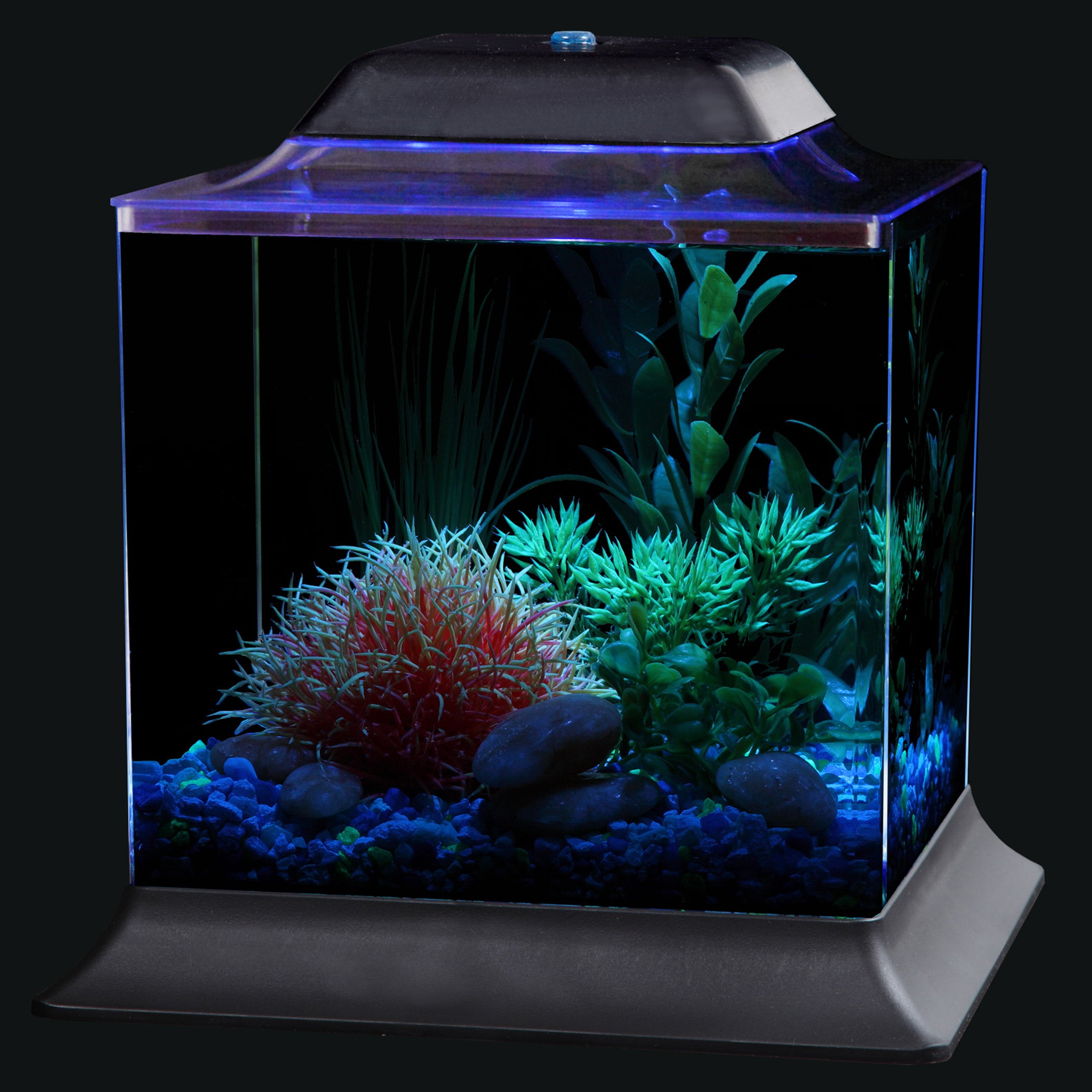 KollerCraft 1.5-Gallon Betta Fish Aquarium Kit