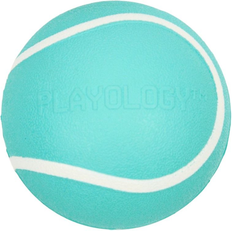 Playology Scented Squeaky Chew Ball Dog Toy