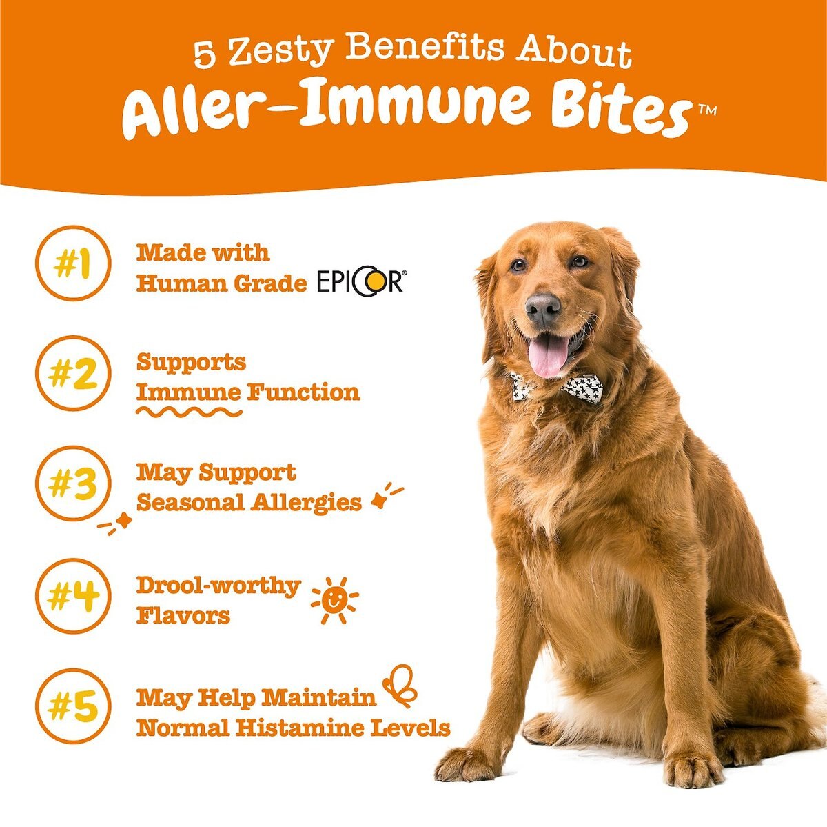 Zesty Paws Allergy Immune Bites Lamb Flavored Soft Chews Allergy and Immune Supplement for Dogs