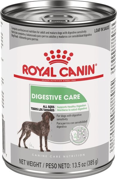 Royal Canin Canine Care Nutrition Digestive Care Loaf in Sauce Canned Dog Food， 13.5-oz， case of 12