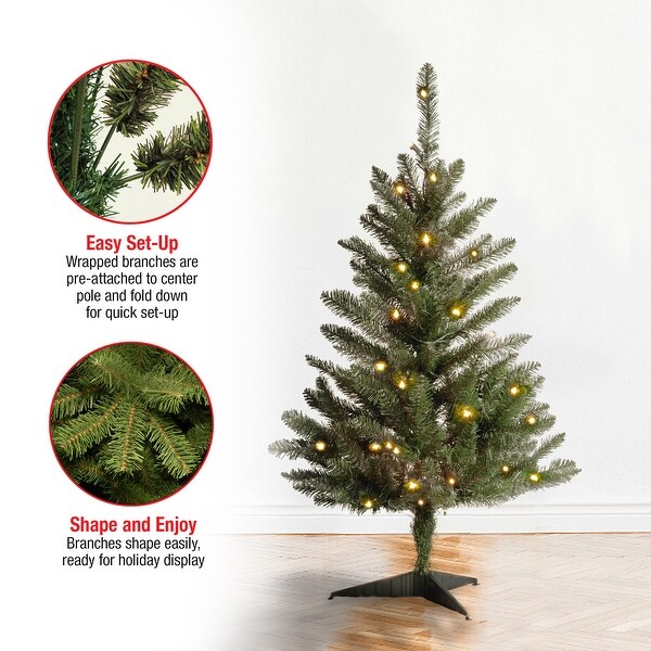 National Tree Company 3 ft. Kingswood Fir Pencil Tree with Clear Lights