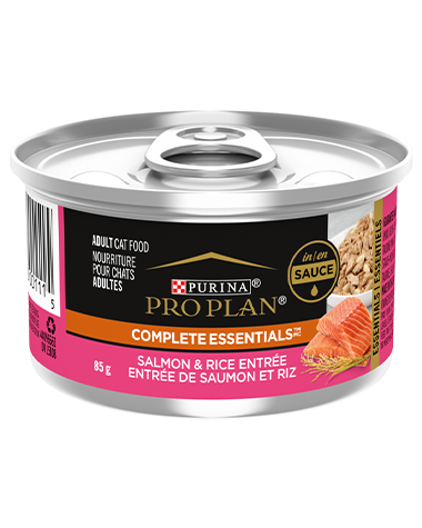 Purina Pro Plan - All Breeds， Adult Cat Salmon and Rice Entrée in Sauce