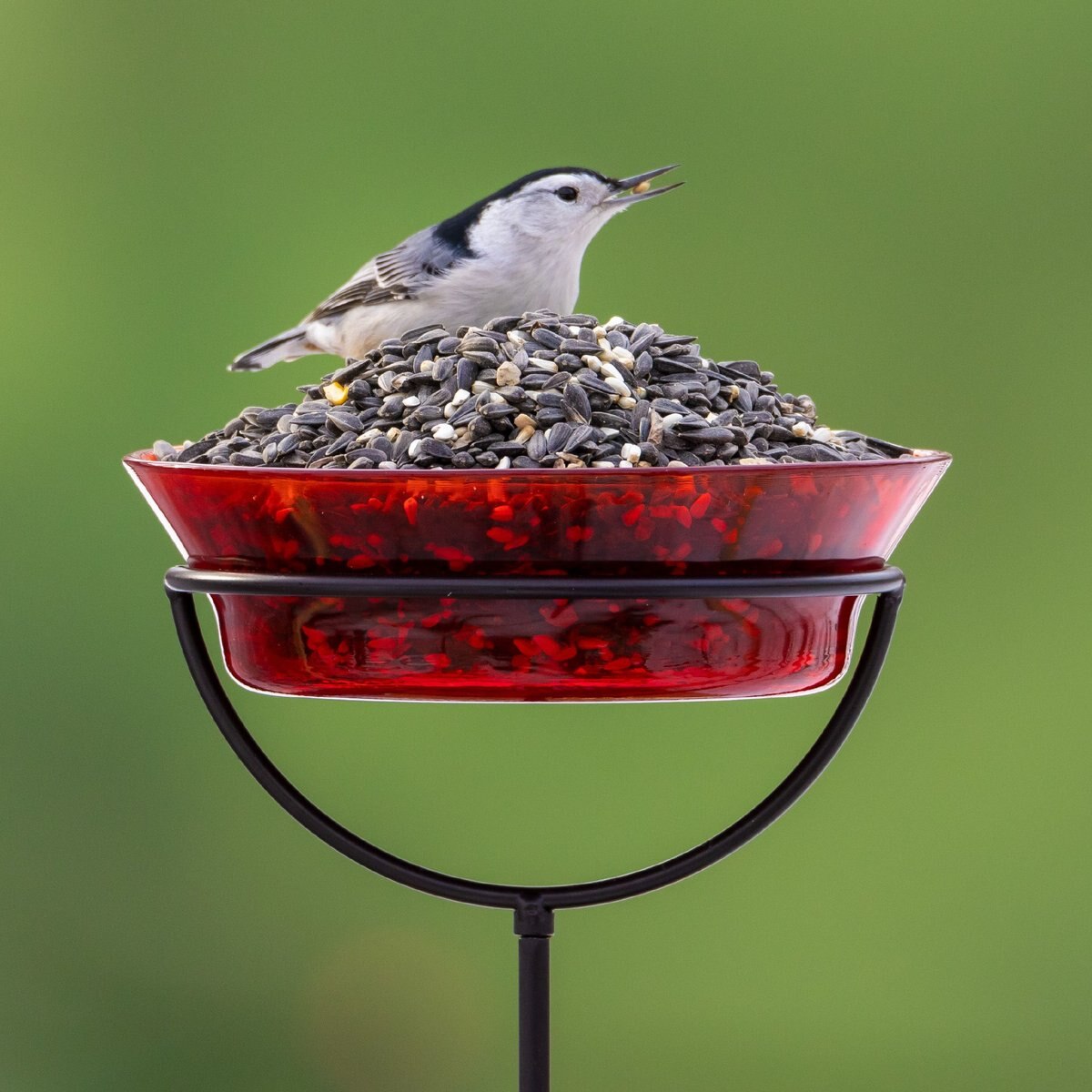 Audubon Park Cardinal Blend Wild Bird Food