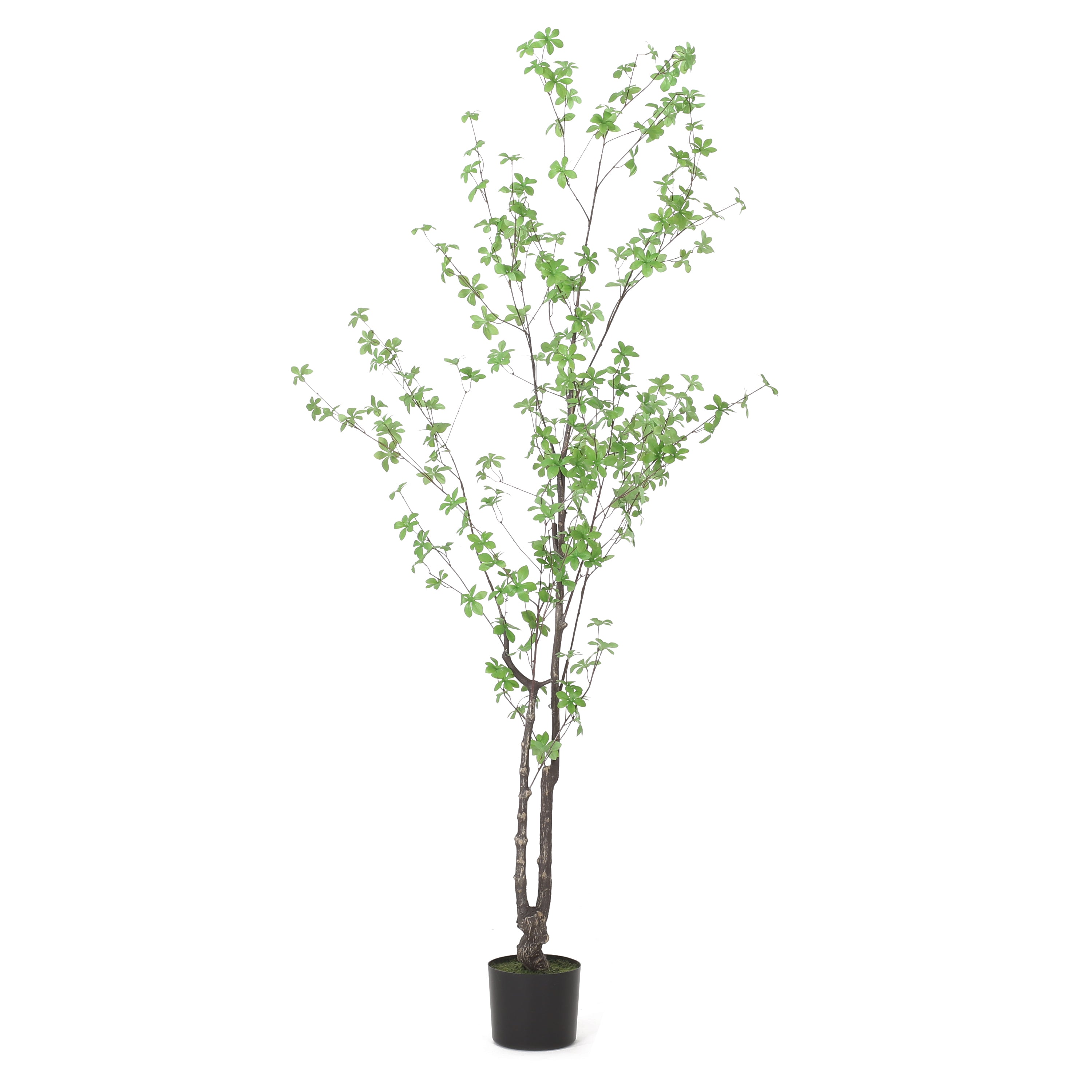 Monadnock Artificial Enkianthus Tree