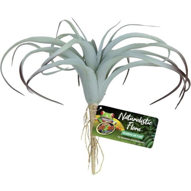 Zoo Med Laboratories BU-64 Naturalistic Flora Tillandsia Air Plant