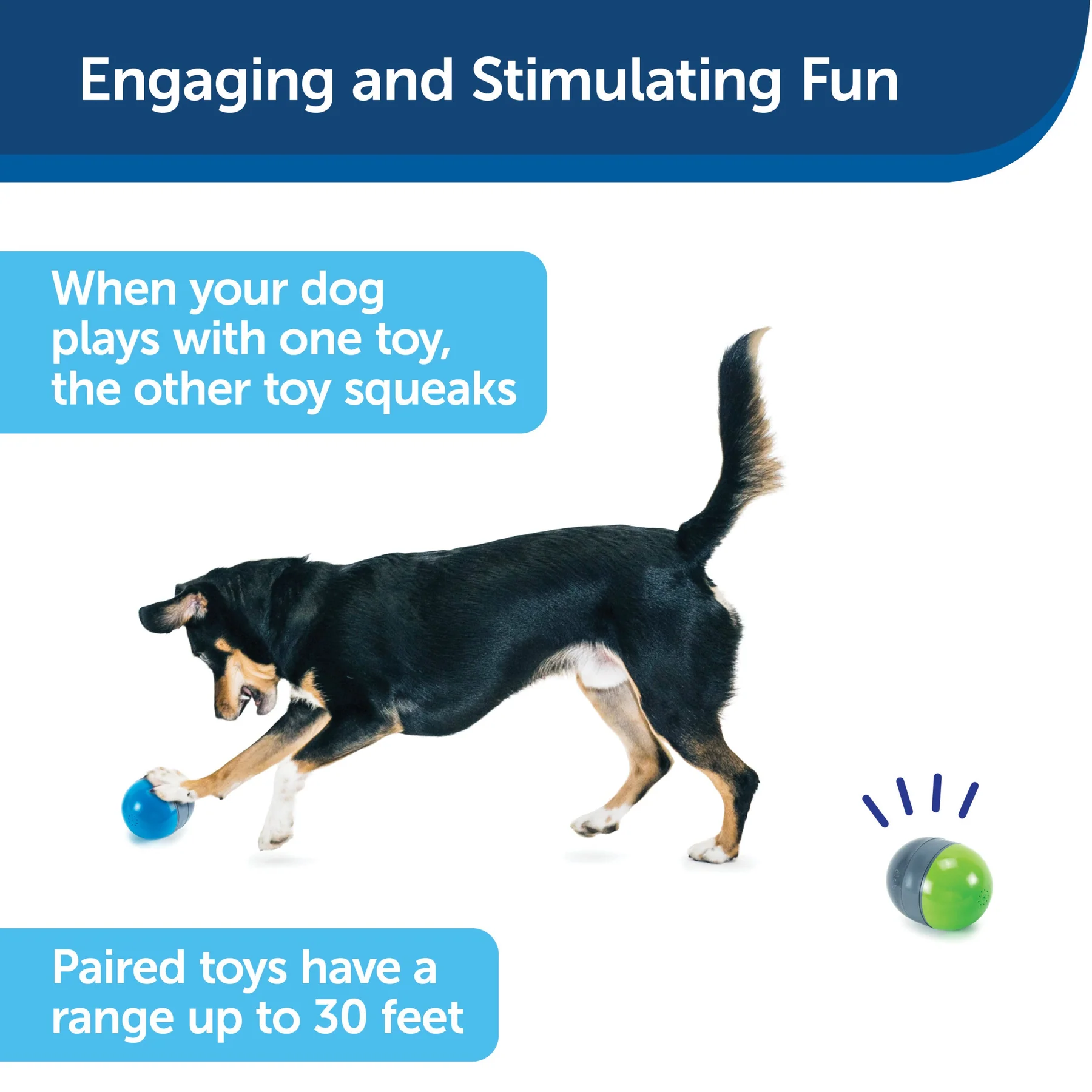 Ricochet Interactive Electronic Dog Toy