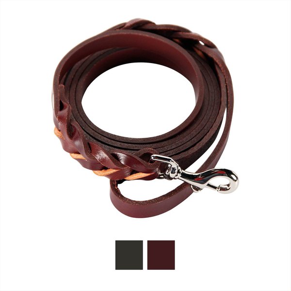 Logical Leather Braided Dog Leash， 6-ft