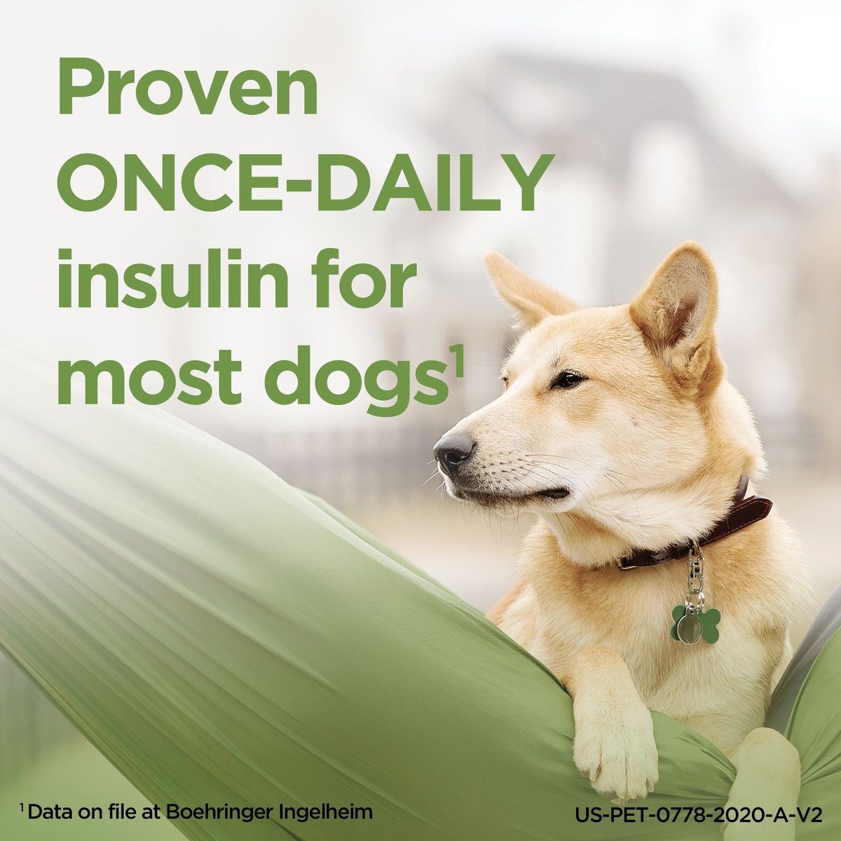 ProZinc (protamine zinc recombinant human insulin) U-40 Injectable for Dogs and Cats