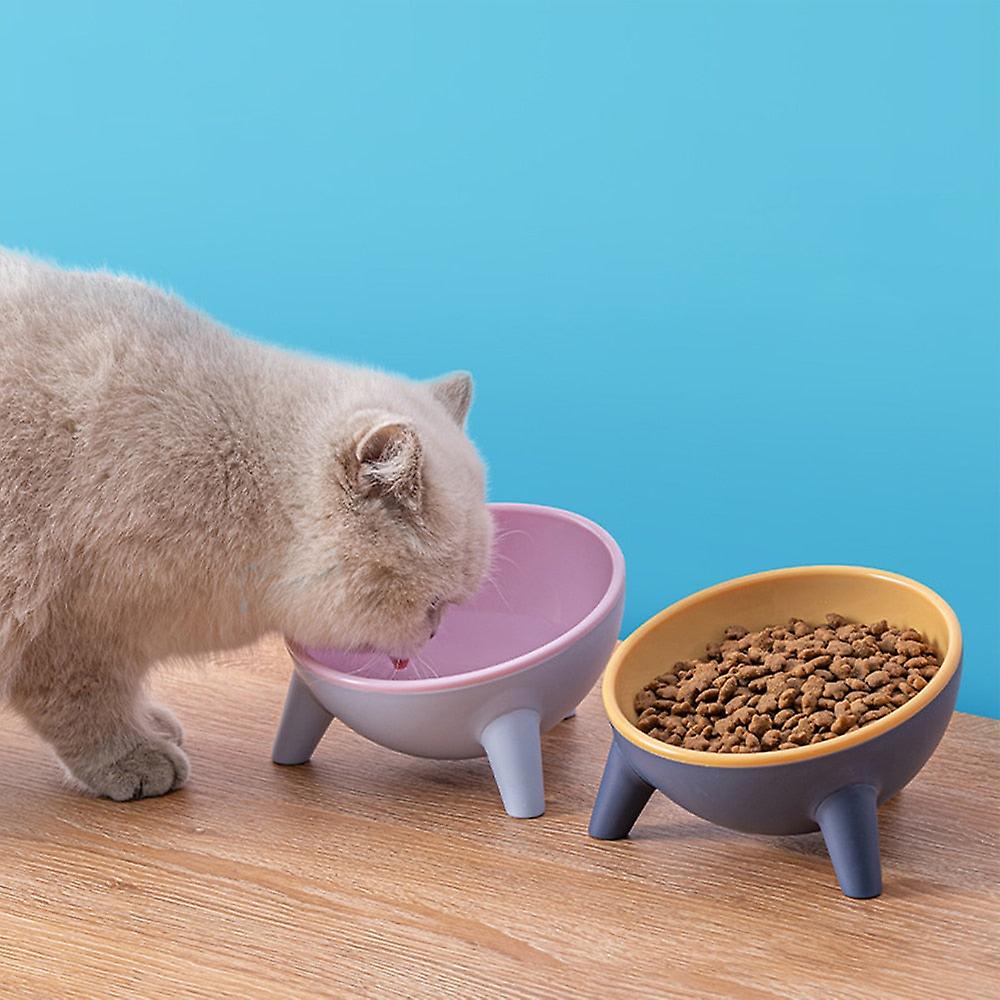 15 Tilt pet bowl with stand